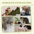 Scratching Post-92191311