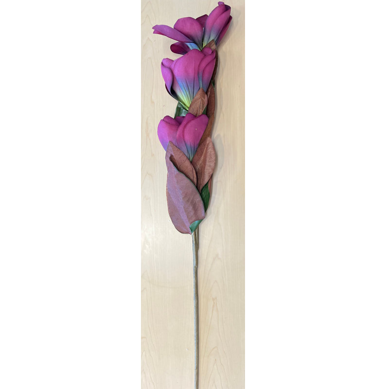 Tige de magnolia géant