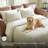 Hobert Upholstered 101'' Sleeper Sofa