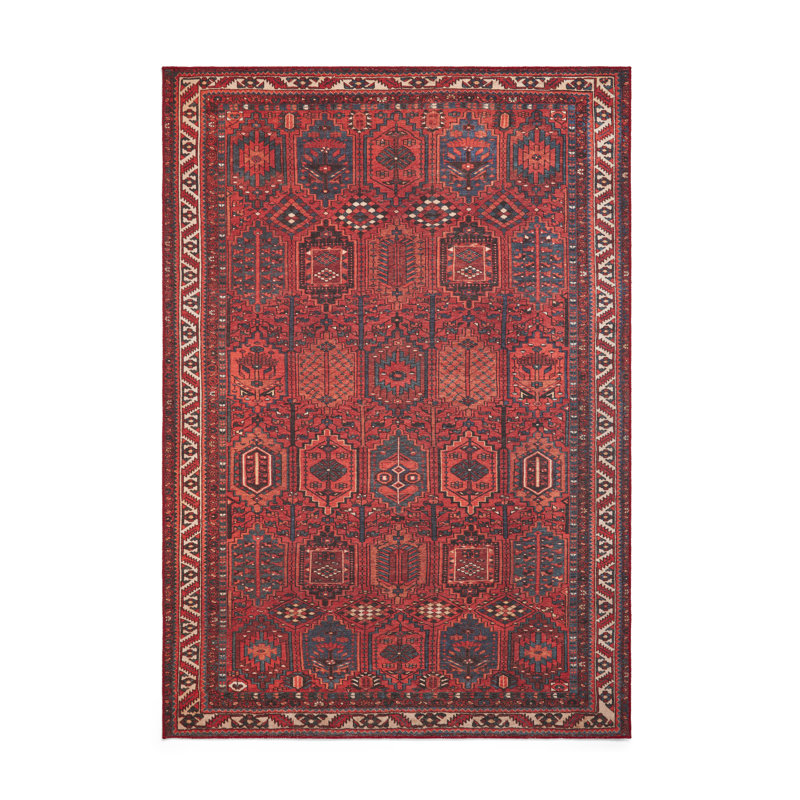 Vintage Look Digitally Printed Area Rug, Rectangle 190 x 290 cm
