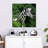 Brampt Leaves And Zebra-109113995