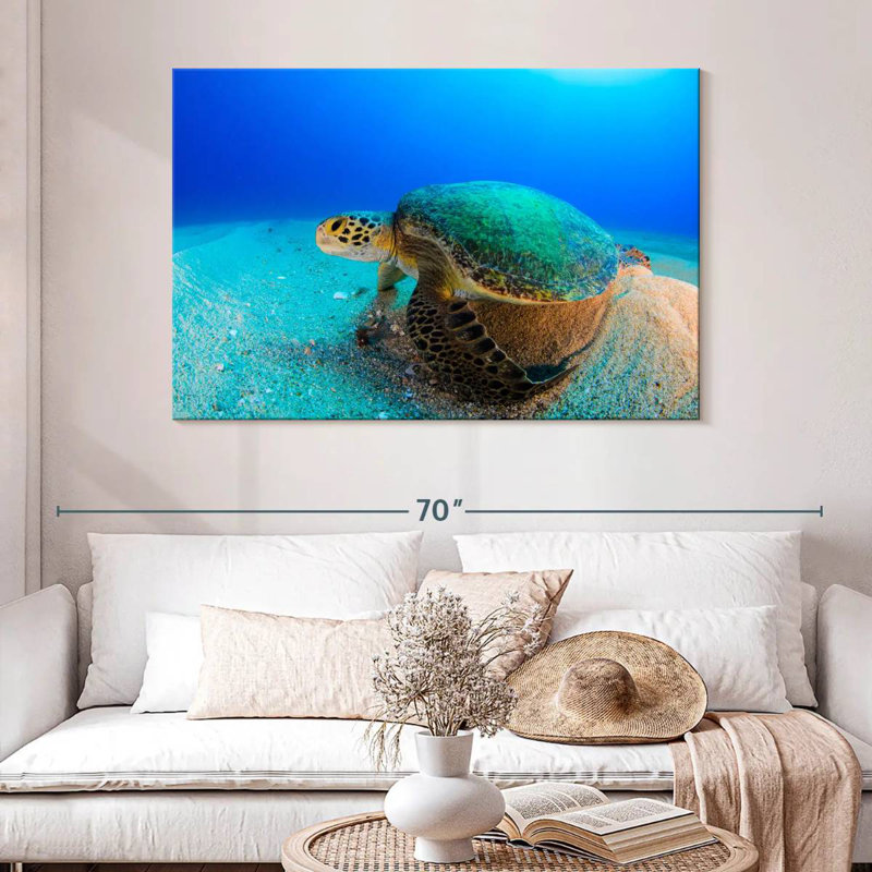Brampt Resting Sea Turtle, 32" H x 48" W