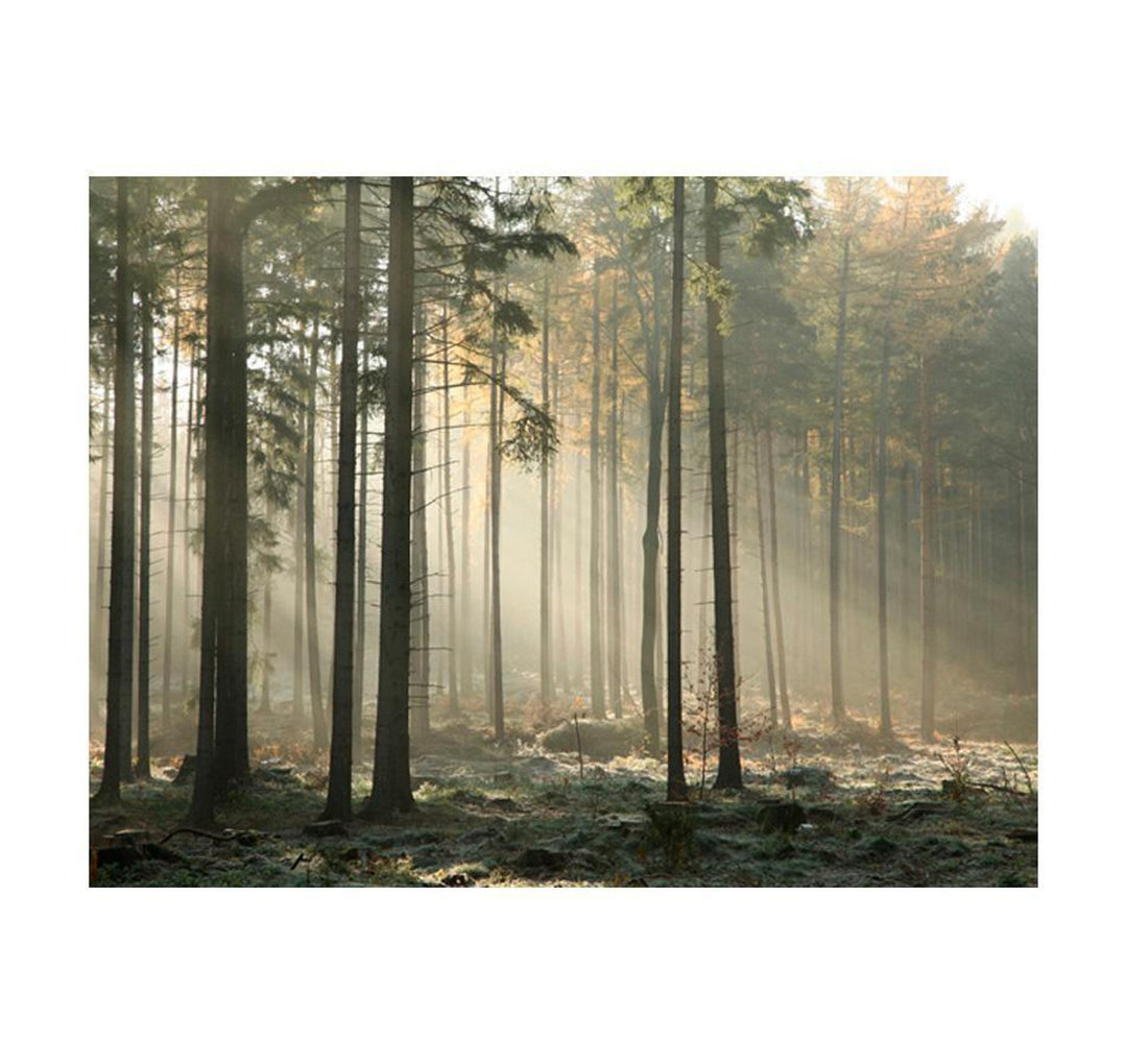 Roll East Urban Home 