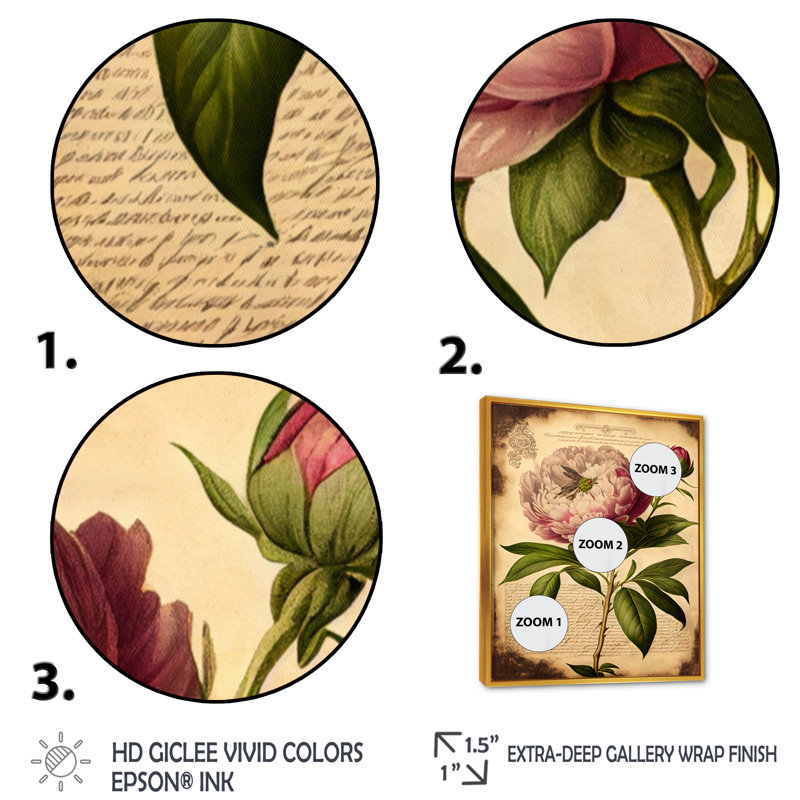 Pivoine rétro rose et blanche - reproduction sur toile, L 12 po x H 20 po, Cadre flottant doré