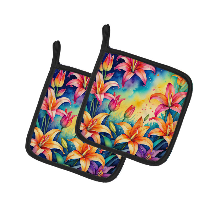 Paire de porte-casseroles lys colorés