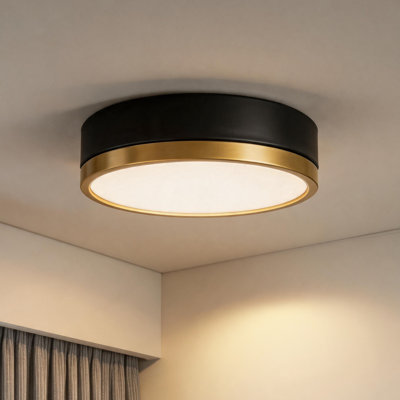 11.8in 24W LED FLush Mount Ceiling Light