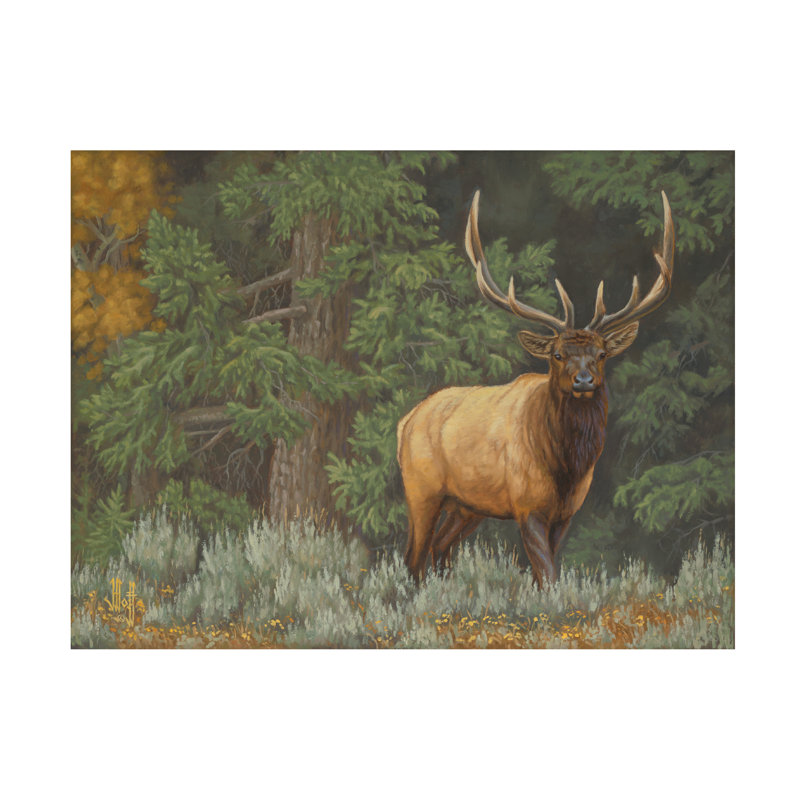 Art sur toile Jeff Hoff, H 14 po x l 19 po