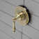Single-Handle Three-Way Diverter Valve with Trim Kit