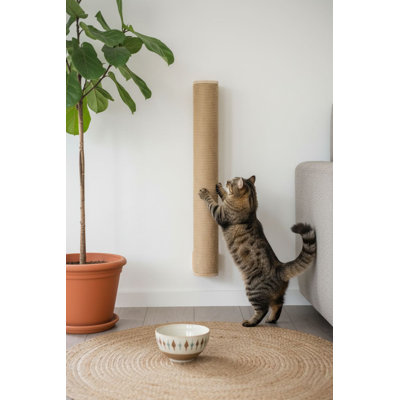 Grattoir pour chat