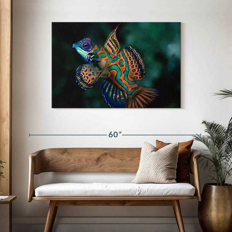 Brampt Mandarin Dragonet, 30" H x 45" W