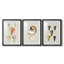 Coquilles antiques sur lin VI - impression sur mesure encadrée de qualité supérieure - 3 pièces-1212442325-1212442323