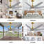 Ariella - Ventilateur de plafond à huit pales - DEL intégrée-103363394-103363396