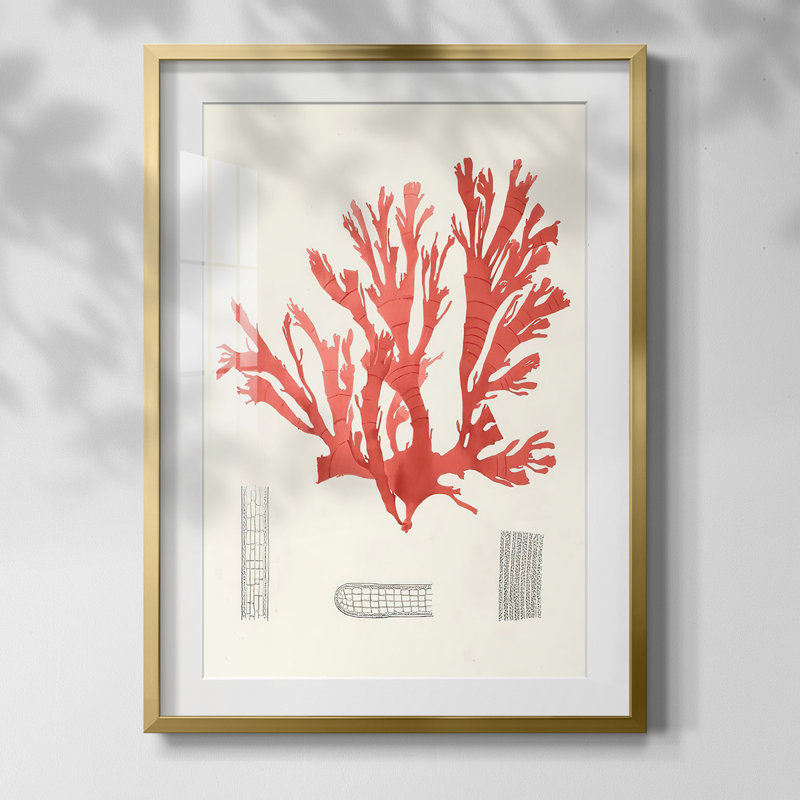 Watercolor Metric I, reproduction encadrée, Papier avec cadre doré, Blanc