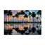 Palmiers 1 - Photographie sur toile tendue-30978713