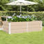 Raised Garden Bed-488408614-488408613