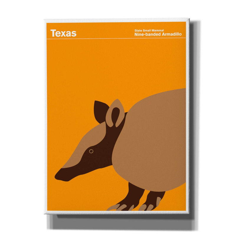 " State Posters TX " by Print Collection, 16" H x 12" W x 0.75" D