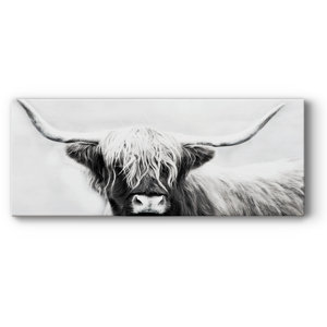 Highland Longhorn On Canvas Print