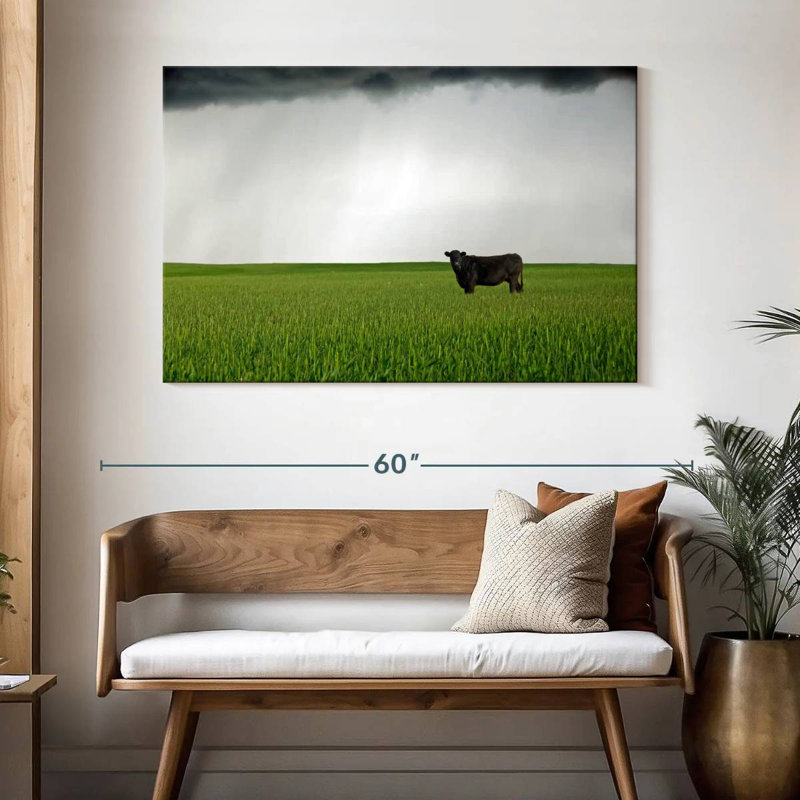 Brampt Angus Cow, 32" H x 48" W