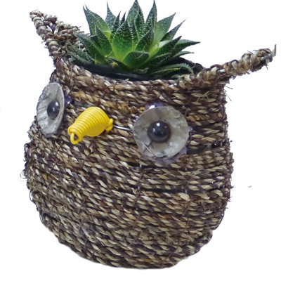 Mihram Pot Planter