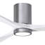 Irene LED Ceiling Fan-40164446-24425152-99192944