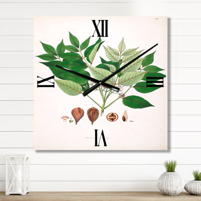 Horloge murale Plant Life