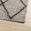 Lizette 60cm X 110cm Area Rug-2063440853