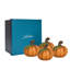Forest Walk Pumpkin Place Card Holder-492199586
