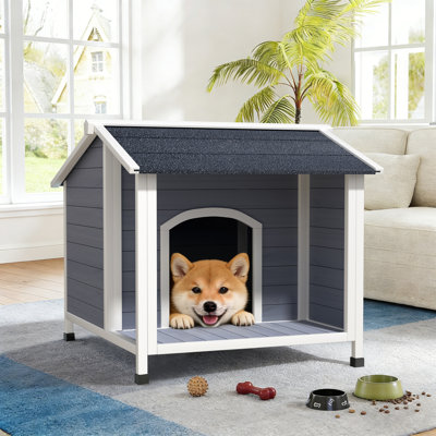 Niche pour chien d'extérieur, abri pour chien en bois résistant aux intempéries avec toit en asphalte, plancher surélevé, assemblage facile, pour petits et moyens chiens