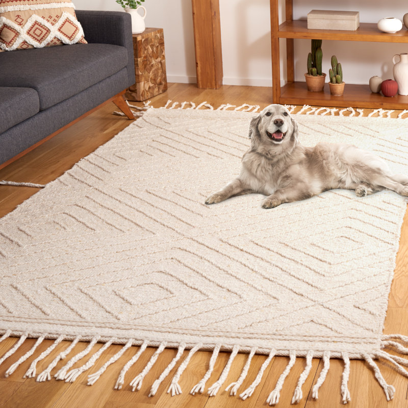 Baughman Handwoven Cotton/Wool Ivory Area Rug, Rectangle 4' x 6'