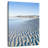 Plage de sable de Cape Cod-108231710