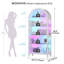 Display Cabinet-1266994196