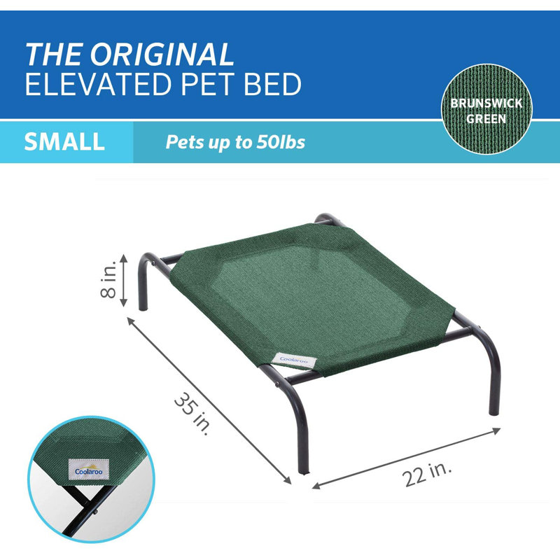 Small Brunswick Green Elevated Orthopedic Outdoor Pet Bed