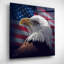 «American Bald Eagle» par Collin Bogle, art mural en verre acrylique-645677128
