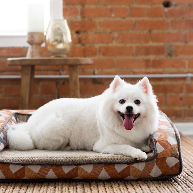 Riley Dog Bolster