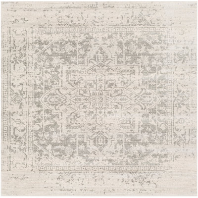 Oriental Indoor Rug