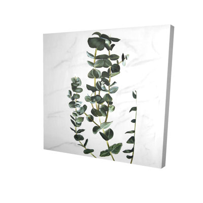 Tige d'eucalyptus - décor de chambre minimaliste vert