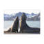 No Frame Print on Canvas-538652632