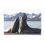 No Frame Print on Canvas-538652639