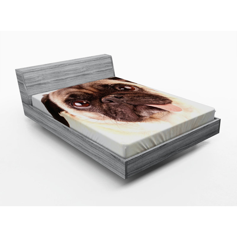 Microfiber Fitted Sheet, Queen Fitted Sheet