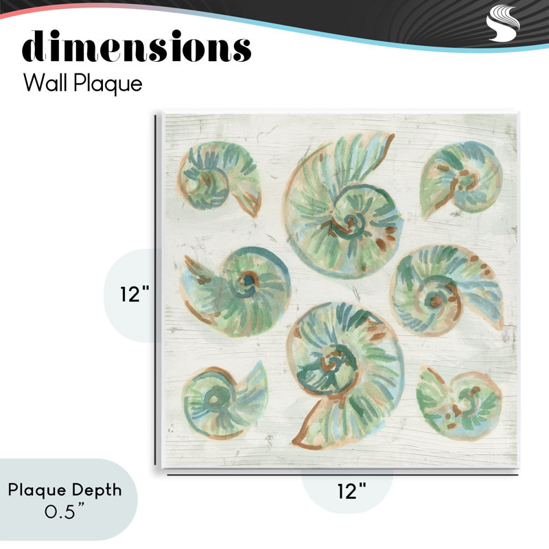 Plaque murale en coquillages biologiques salés, design par June Erica Vess