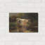 «Cow Beside A Ditch» par willem maris-101656369