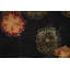 Floral Area Rug