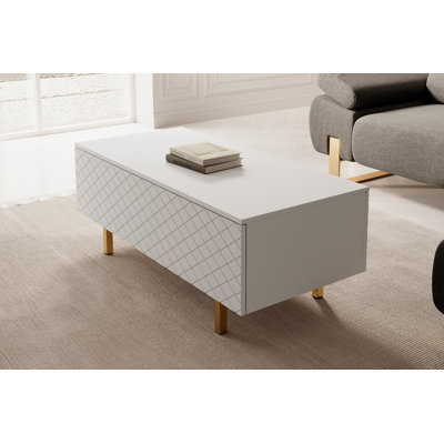 Aset Coffee Table with Storage