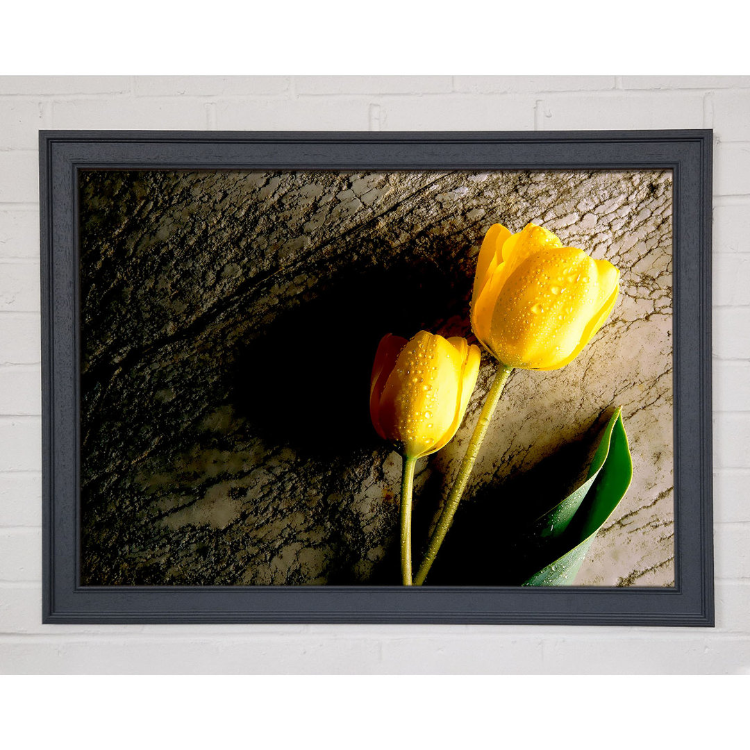 Gelbe Tulpe Duo - Druck