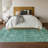 Premium Machine Washable Cerrito Teal Rug-105951256