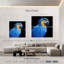 Ara bleu néotropical Brampt-109118696