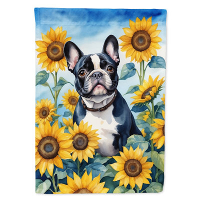 Alaskan Malamute in Sunflowers House Flag