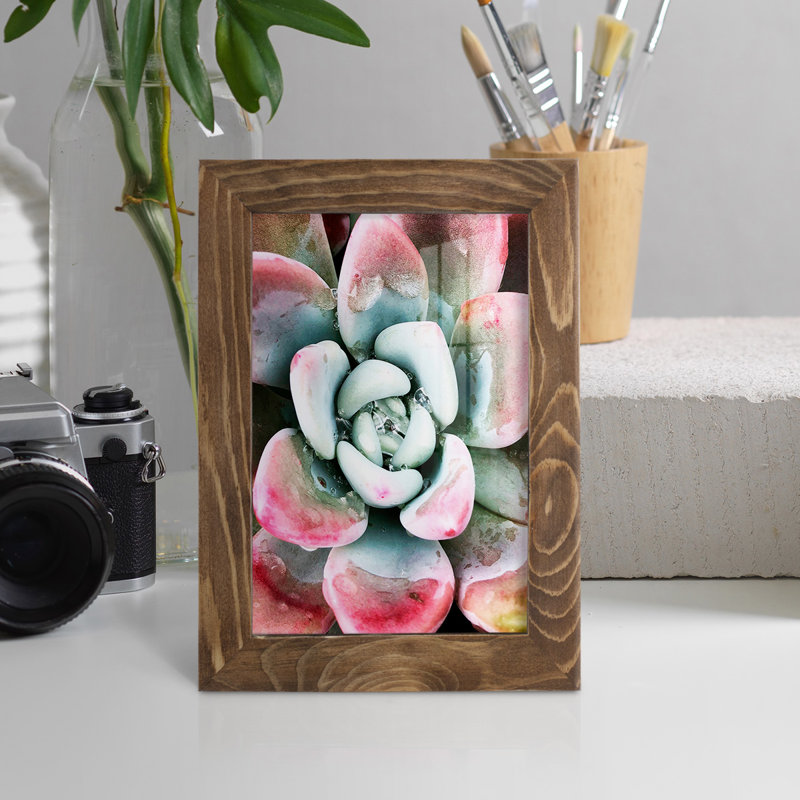 Pastel Succulent Beauty V, reproduction d'art sur papier, H 6 po x l 4 po x P 1 po, Noyer