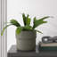 Mushroom Set of Three Ceramic Planters - 10" x 10" x 9"-1412844041