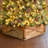 St Ives Solid Wood Tree Collar-1497174453-1597080345